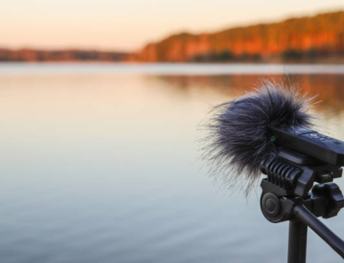 Auralization and Soundscape